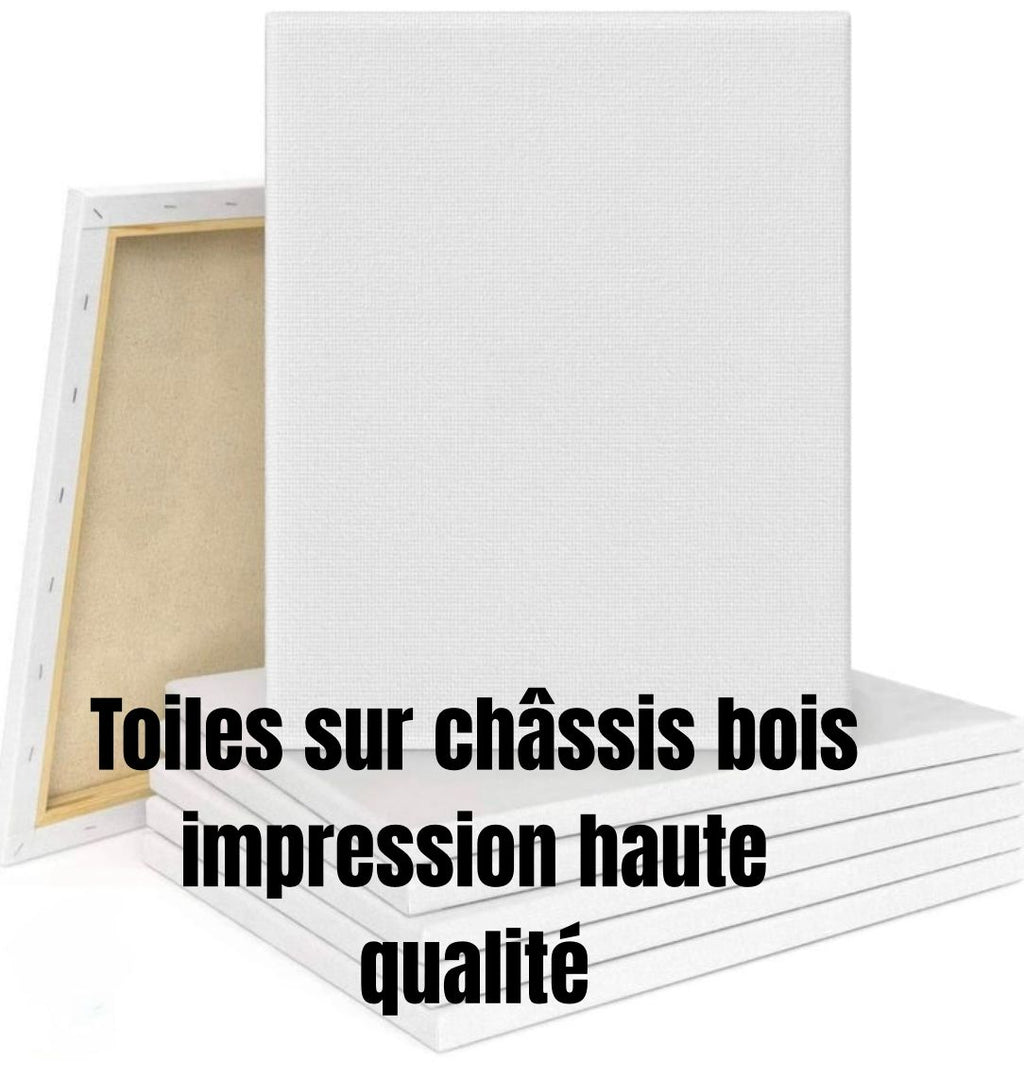 Projet sur mesure - Toile personnalisée
